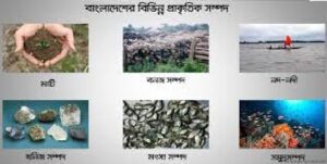 বাংলাদেশের প্রাকৃতিক সম্পদ
